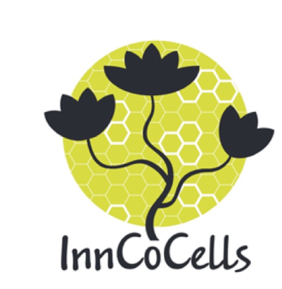 InnCoCells Consortium Meeting